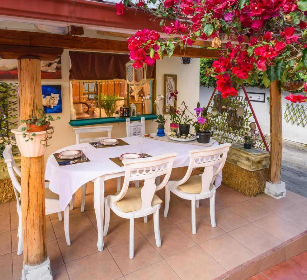 Casa Elalu Διαμέρισμα Κίτο Εξωτερικό φωτογραφία